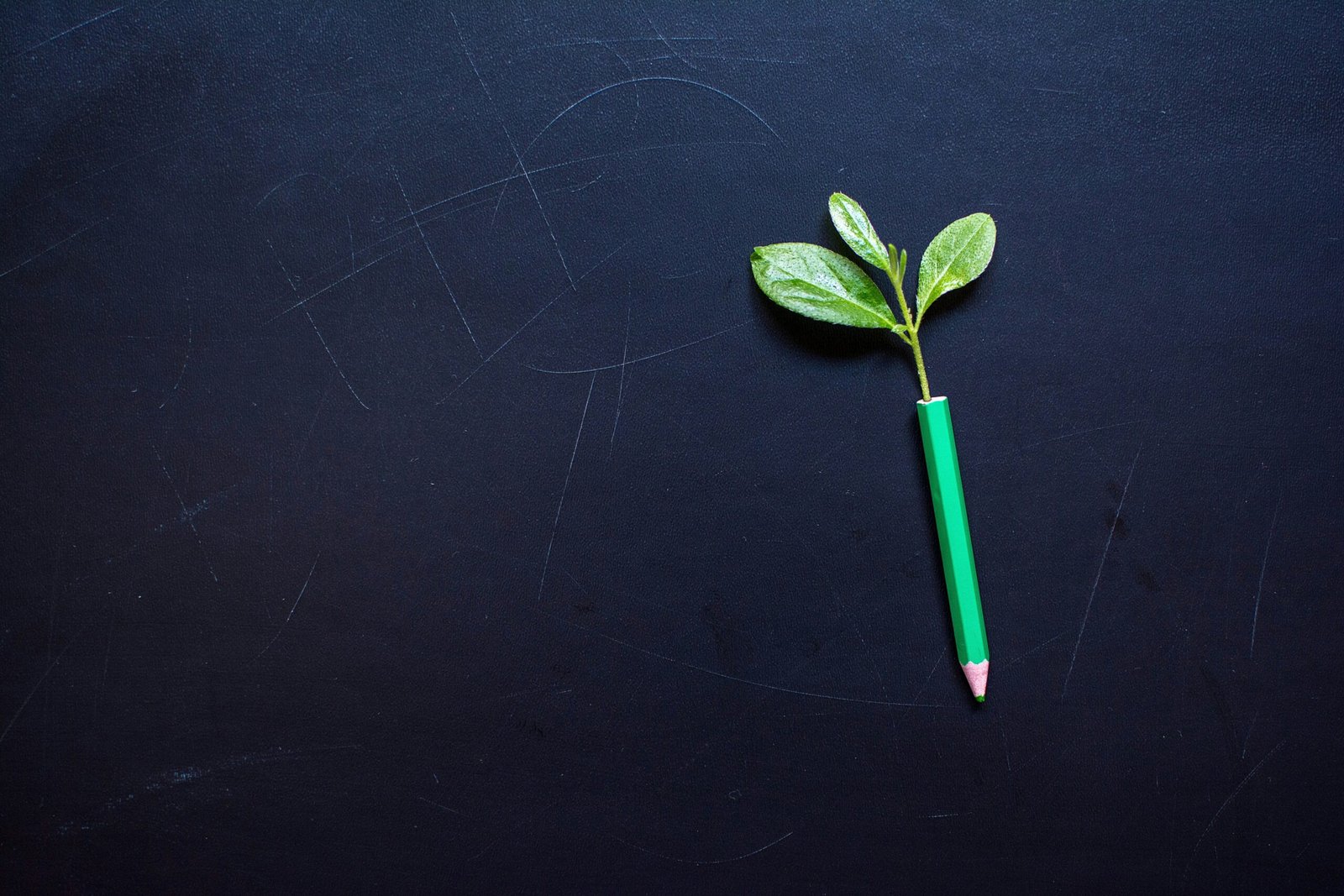 Illustration showing two paths: one leading to poor savings growth, the other to exponential gains through smart youth accounts